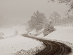 Winter Road