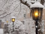 Winter Lamp