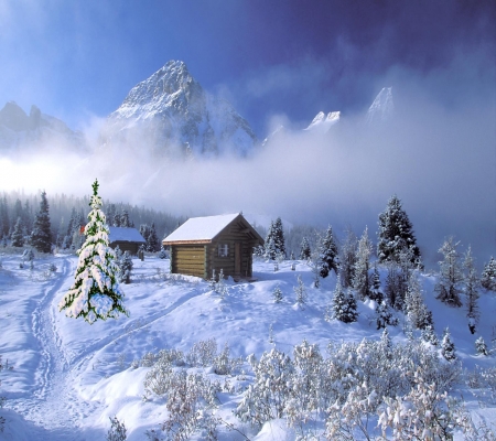 Winter - snowy, forest, pine trees, mountains, winter, road, chalets, snow