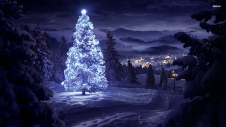 christmas tree in the snow - cloud, christmas, snow, tree