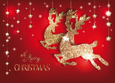 Christmas background - red, deer, xmas, background, Christmas