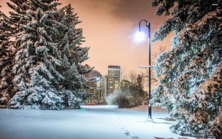 footsteps in the snowy park - park, tree, snow, footstep