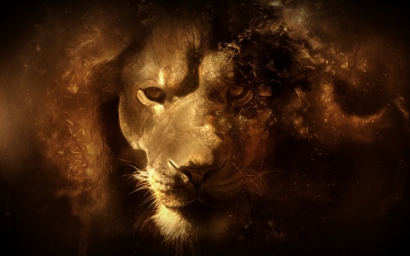 Aslan - narnia, fantasy, animal, yellow, lion, art, aslan, luminos