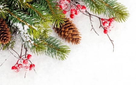 Merry Christmas! - christmas, white, craciun, red, green, pine cone, card