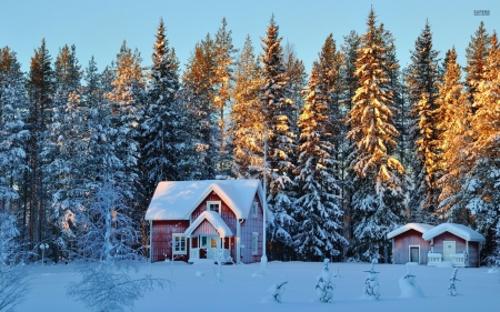 Small House in the Snowy Forest