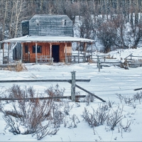 Prairie Winter