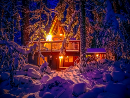 Cottage in forest