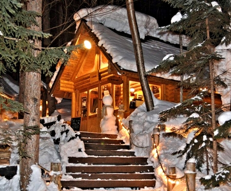 Snow Mushrooms on Cottage - Photo, Winter, Cottage, Snow