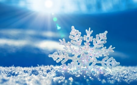 Snowflake - white, winter, snowflake, blue, snow, sun