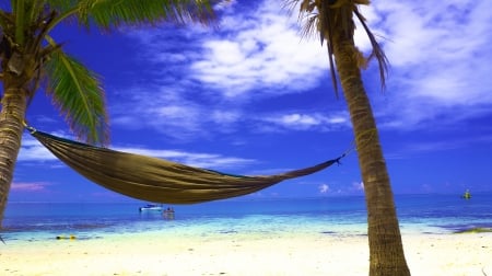 Beach Relaxing - beach, palm tree, sea, hammock