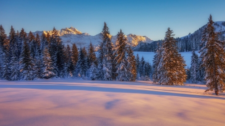 Winter Sunset - mountains, sunset, trees, snow