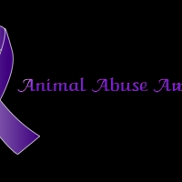 Animal Abuse Awareness Wallpaper