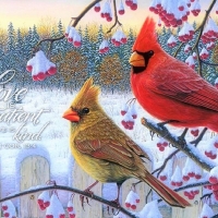 Winter Cardinals