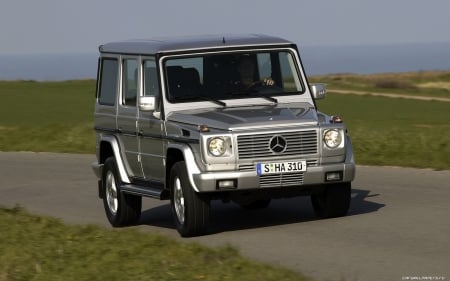 mercedes benz g class - mercede, 4x4, benz, grass