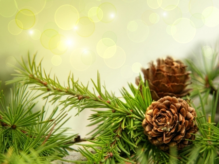 Holiday background - cones, pretty, background, pine, beautiful, holiday, winter, christmas