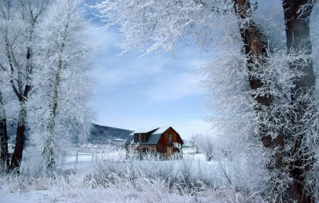 Summer cottage in winter - trees, winter, summer, beautiful, snow, landscape, frozen, frost, hut, cottage, sky