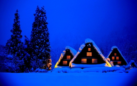 Winter Night - house, lights, trees, snow