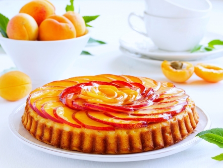 Apricot Cake - cake, fruits, delicious, dessert, food, sweet, apricot