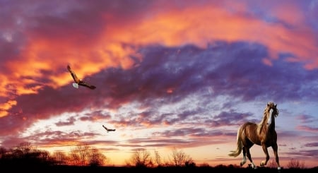 ღ❤ღ - beauty, sunset, nature, horse