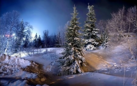 Winter hills - sky, hills, trees, winter, forest, frost, snow, beautiful, frozen