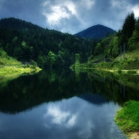 nature