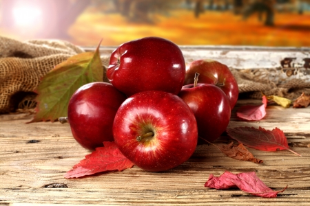 Beautiful Red Apples - autumn, fall, red, fruits, leaves, food, apples, fruit