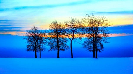 Cool Blue Wonderland - clouds, trees, winter, nature, blue, landscape, snow