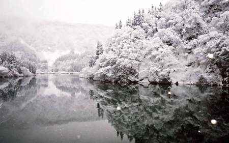 Scenic Beauty - trees, winter, nature, snowflake, snow, lake