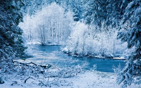 Winter Lake - nature, lake, landscape, trees, forest, snow, winter