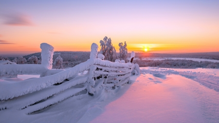 Winter Morning - sunset, landscape, snow, colors, fence, sky