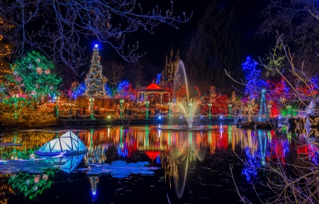 Christmas lights - lake, lights, water, craciun, park, night, christmas, colorful