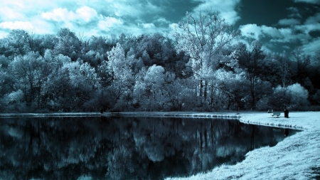 Winter Park - trees, nature, snow, bench, lake, forest, reflection, park