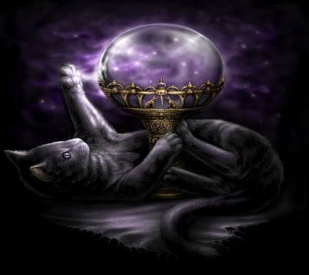 Magical cat - sphere, fantasy, magic, magical cat