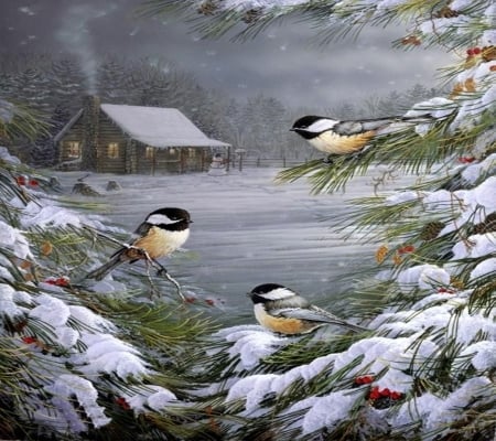 Winter birds - trees, forests, light, winter, pine branches, snow, house, snowy, pines, birds