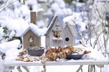 Birdhouse - winter, photography, snow, sweet, birdhouse