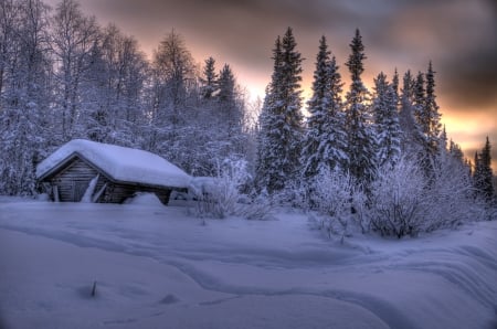 The house in the woods - winter, trees, cabin, sunset