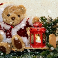 Xmas Teddy