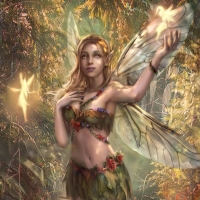 Beautiful Fairy