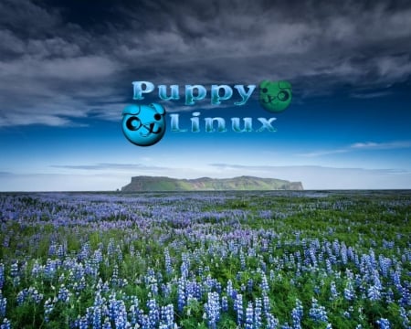 Puppy Linux - c, y, x, v