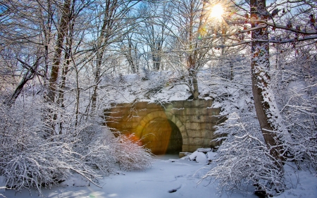 Winter Sunset - nature, forest, snow, sunset, road, bridge