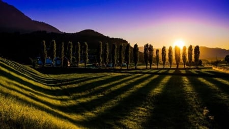 Sunset Over The  Mountain - trees, nature, sunset, mountain