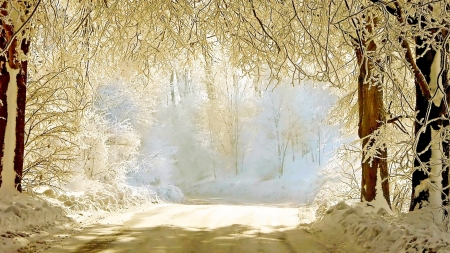 Winter Road - trees, winter, nature, snowflake, road