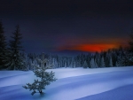 Winter Evening