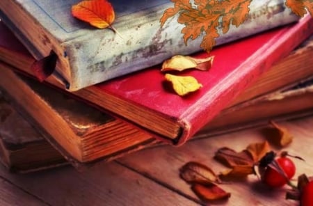 *_* - table literautura, petals, books, table, literautura