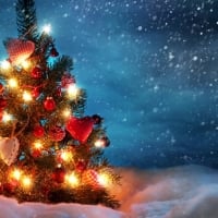 Holly Jolly Christmas