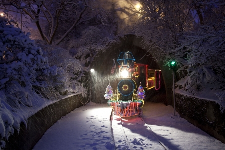 Christmas Train - locomotive, winter, steam, park, snow