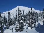 Chinook Path, Mount Rainier, Washington