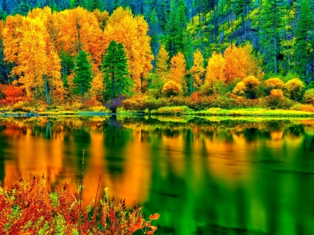 Autumn Reflection - nature, autumn, hillside, lake, trees, reflection, forest