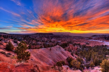 Sunset Canyons - trees, sunset, mountains, rocks