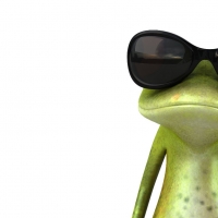 Cool Frog